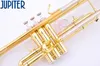 Jupiter JTR-408 Profesjonalny BB Trumpet Brass Gold Lacquer Trumpet Wykonaj instrumenty z przypadkiem i ustnik Darmowa wysyłka