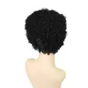Perruques courtes bouclées pour femmes noires pas cher pleine dentelle brésilienne coupe de lutin indien cheveux humains 100 perruques de cheveux humains nouvelles wigs6118474