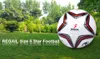 Regail Size 5 PU Star Competition-Training Soccer-Ball Football Handgjorda Sewn PU 490-500G Träning Konkurrenskraftig fotboll