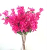 hot pink flowers