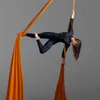 Wellsem 8.2x2.8M Aerial Silks Equipment Anti-gravity Yoga Hammock Swing Yoga for Home Gymnastics Flying Dance & Body Shaping