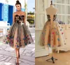 Real Images Knee Length Prom Dresses Colorful Butterfly Sweetheart Lace Appliques Cocktail Party Dresses Lace Up Back Dresses DH187