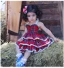 Boutique Kids Clothing Summer Baby Girls Clothes Lace Plaid Ruffle Layered Dresses Sleeveless Sundress Cute Princess Party Kids Dress 6M-5T