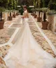 New Arrival Designer Mermaid Wedding Dresses 2018 Sexy See Through Back Vestido De Novia Light Champagne Lace Wedding Dresses