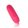 Vuxna produkter Dildo Vibrator Sexleksaker för kvinnor Mini Vibrator Sex Oral Onani Clitoris Massager Finger Bullet Vibrator