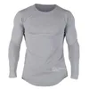 raglan long sleeve men