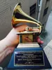 2018 Grammy Awards 11 Real Life Size 23 cm höjd Grammys Awards Gramophone Metal Trophy Souvenir Collection 4857058