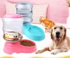 Automatic Pet Feeder Drinking Bowl For Dog Water Drinking Cat Feeding Large Capacity Dispenser Pet Feeder and Waterer