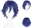 Tokyo Ghoul Ayato Kirishima perruque cheveux courts bleu-violet accessoire de déguisement Cosplay