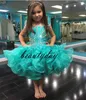 Vestidos de pageânia da menina vestidos 2019 Crianças Crianças Vestido de Bola Glitz Flor Menina Vestido Casamentos Organza 4 6 8