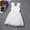 Baby Flower Girl Dress Princess Lace Tulle Tutu Backless Gown Formell Party Dress