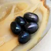 2018 Gioielli con ciondoli Perla d'acqua dolce naturale Ostrica 6-8mm # 6 Perla ovale nera e ostrica Regalo sottovuoto per la famiglia