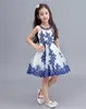 2019 Neue Blumenmädchenkleider für Hochzeit, Geburtstag, Party, Festzug, Erstkommunion, Kleid für kleine Mädchen, Kinder/Kinder