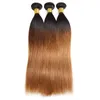 Ishow 10A Ombre Color Raw Hair Weaves Extensions 3 buntar med stängning 1b/30 T1B/99J Body Wave Människohår Rakt T1B/BUG Lila för kvinnor alla åldrar 10-24 tum