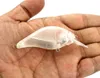 Hengjia 50 stuks lot Crank Vissen Lokken Aas met 3D Levensechte Ogen Ongeverfd Transparant Kunstmatig Hard Plastic GEEN HOOK302E