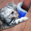 Katt själv groomer med catnip pouch vägg hörn massage kam grooming borste massager verktyg för katter med lång kort päls husdjur hårborttagare