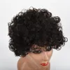 Högkvalitativ Kort Kinky Curly Human Hair Wigs För Kvinnor Brasiliansk Remy Full Lace Front Wig för svarta kvinnor
