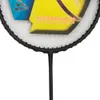 Raquettes de badminton professionnel raide offensif Raqueteira force raquette de badminton 6U raquette de frappe vtzfii bs126574885