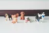 Simulation Lovely Pet Mini Animals Cat Dog Decoration Animal PVC Figures Toys Cute Puppy Kids Toys Dolls