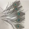 Elegante decoratieve materialen Real Natural Peacock Feather Mooie veren Ongeveer 25 tot 30 cm Gratis verzending