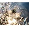 Tangle Globe LED hanglamp glans glazen vis tank stalen bloem kroonluchter indoor hanglamp lampara armaturen