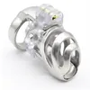 Stainless Steel Male Short Cock Cage Detachable PA Lock Substitutable Nail Penis Ring Chastity Device Bondage Restraint BDSM Sex Toy For Men