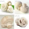 100 Pcs Delicious Green Vegetable Rare Mushroom Seed Organic Healthy Edible Vegetable Seed Bonsai Plant in Garden and Courtyard