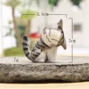 9PCSSet Miniature Fairy Figurines Cute Mini Cat Garden Decor Artificial Micro Landscape Resin Animal Zakka Gifts3112159