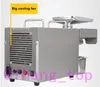 Qihang_top Commercial Peanut Oil Press Machine Stainless Steel 110V or 220V Electric Oil Extraction Expeller Presser