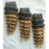 Brasilianska jungfruliga hår 3 -buntar med 44 spetsstängning 1B27 honung blond människohårväv djupa vågbuntar med stängning två ton C4936881