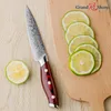Grandsharp damasco faca de cozinha 5 Polegada faca utilitária 67 camadas japonês damasco aço inoxidável vg10 núcleo ferramentas cozinha new9102871