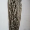Серебряные бразильские волосы kinky вьющиеся вьющиеся вьющиеся микро петли наращивание волос 100s 100% девственные серебряные расширения 100 г 1 г / с серые наращивания волос