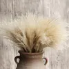 12inch-40inch Flower Bouquets Secados Natural Reed Reed Flowers Bulrush Flores Phragmites Flores para Casamento Party Table Centerpiece Decor