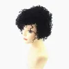 Pixie menselijk gesneden haar pruik Goedkope snit kort kant voor menselijk kort haar pruiken met babyhaar voor Afro-Amerikanen Nieuwe collectie7919278