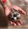 Boneceira Miniatura Resina 3D Bonito Pássaro + Ninho + Ovos Conjunto de Codorna Ovo Mini Ovo Micro Paisagem Mini Jardim Decoração Ornamentos