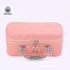小型小型ワニの化粧品袋の美容ケース化粧袋ロック可能なジュエリーボックス旅行のトイレタリーオーガナイザースーツケース