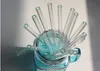 Smoking Straw heat-resistant transparent glass hookah pipe fittings
