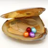 Huîtres perlières d'eau douce naturelles 6-8mm 4 pièces # 4 gris en triangle huître emballage sous vide cadeau surprise pour la famille