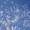 Белый Мир Голубь Воздушный Шар Фольгированный Шар Свадебный Шар алюминиевые Воздушные Шары Надувные Игрушки На День Рождения Украшения Партии Фото Реквизит