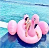 Uppblåsbara Flamingo Floats Swim Ring Unicorn Swan Pool Swimmingrör Uppblåsbara Giant Animal Ride-on Floats Pool Water Madrass Toy