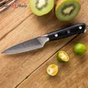 GRANDSHARP 35039039 Damascus Schilmesje Japans Damascus Staal VG10 Mes Koolstof Peeling Fruit Keukenmes met G9183891