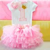 Baby-erste Geburtstags-Outfits Tutu Tulle 1 Jahr-Party Kommunion Kleinkind Taufkleid Fluffy rosa Geburtstags-Baby Kleider 1 Jahr Kleidung Anzug