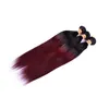 Fasci di capelli umani bordeaux ombre brasiliani con chiusura colorata 1B / 99J estensioni del tessuto dei capelli vergini lisci brasiliani con chiusura in pizzo