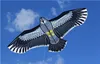 Gratis verzending 1.8m Eagles Grote Vlieger met lijn en handvat Nieuwigheid Flying High Hoogte Kindergeschenken
