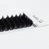 Extensiones de pestañas postizas de visón Seashine C D L Curl Uso profesional en el salón Espesor 0.10 0.15 mm Volumen individual Longitud de las pestañas 8-15 mm