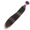 Goedkope Braziliaanse Virgin Hair Silky Straight Menselijk Haar Weave Bundels 8A Grade Ruwe Peruviaanse Indische Maleisische Virgin Hair Extensions Sfinten