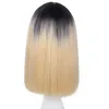 Capelli Parrucche Cosplay parrucca sintetica Blunt Ombre Brown Cosplay di colore Nuovo arrivo per la vendita 2.018