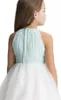 Belleza verde/blanco tul/gasa joya vestidos de niña de flores vestidos de desfile de niñas vestidos de vacaciones de cumpleaños tamaño personalizado 2-14 FF727069