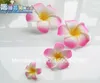 الجملة الشحن مجانا + نوعية جيدة 50 قطع كبيرة مختلط الألوان رائعة هاواي رغوة فرانجيباني الزهور حفل زفاف ديكور 8 سنتيمتر