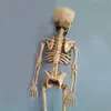 Хороший 40 см ужас подвижный череп скелет Хэллоуин реквизит зло партия выступает Хэллоуин накануне страшно Хэллоуин украшения